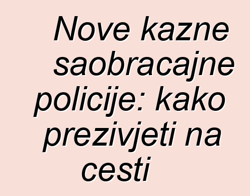 Nove kazne saobraćajne policije: kako preživjeti na cesti