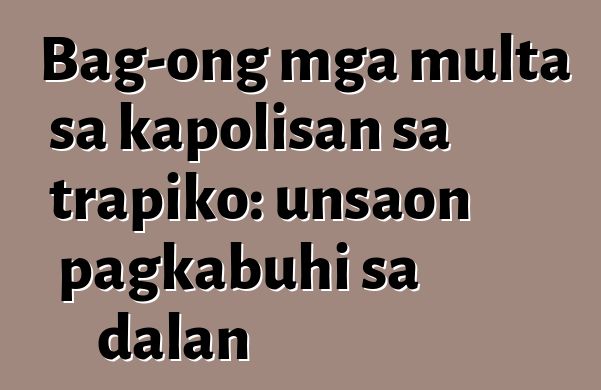 Bag-ong mga multa sa kapolisan sa trapiko: unsaon pagkabuhi sa dalan