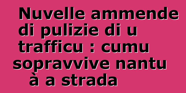 Nuvelle ammende di pulizie di u trafficu : cumu sopravvive nantu à a strada