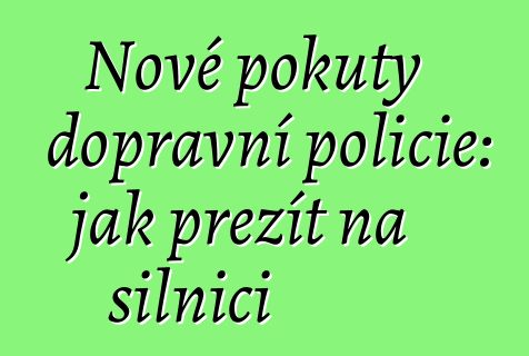 Nové pokuty dopravní policie: jak přežít na silnici