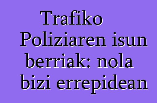 Trafiko Poliziaren isun berriak: nola bizi errepidean