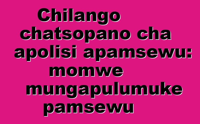 Chilango chatsopano cha apolisi apamsewu: momwe mungapulumuke pamsewu