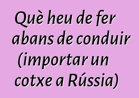 Què heu de fer abans de conduir (importar un cotxe a Rússia)