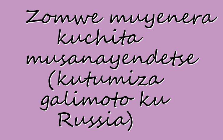 Zomwe muyenera kuchita musanayendetse (kutumiza galimoto ku Russia)