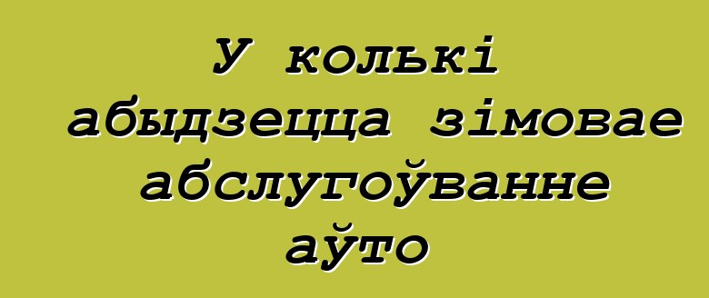 У колькі абыдзецца зімовае абслугоўванне аўто