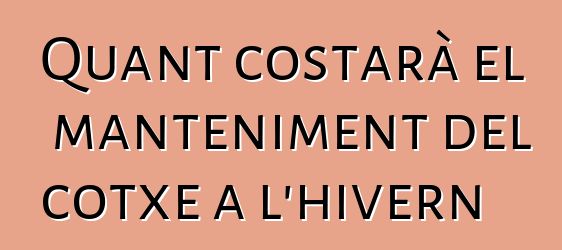 Quant costarà el manteniment del cotxe a l'hivern