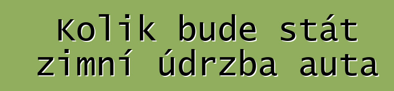 Kolik bude stát zimní údržba auta