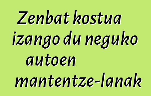 Zenbat kostua izango du neguko autoen mantentze-lanak
