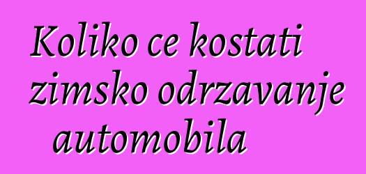 Koliko će koštati zimsko održavanje automobila