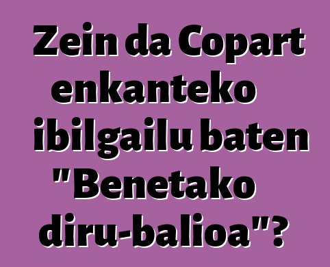 Zein da Copart enkanteko ibilgailu baten "Benetako diru-balioa"?