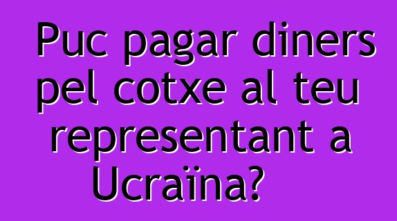 Puc pagar diners pel cotxe al teu representant a Ucraïna?