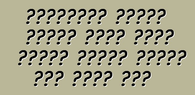 አጭበርባሪዎች የዩክሬን የትራፊክ ፖሊስን መሰረት ለጉምሩክ የቅንጦት መኪናዎች በነጻ ይጠቀሙ ነበር