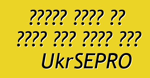 የዩክሬን ጉምሩክ ያለ መዝገብ መኪና መስጠት ጀመረ UkrSEPRO