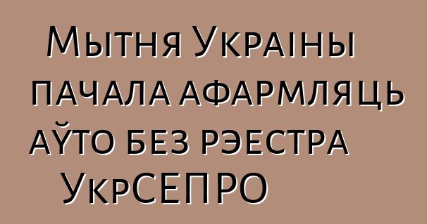Мытня Украіны пачала афармляць аўто без рэестра УкрСЕПРО