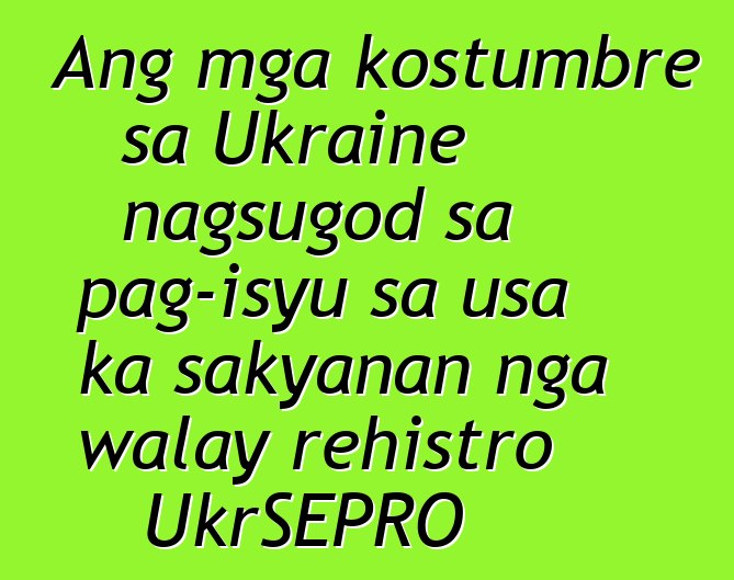 Ang mga kostumbre sa Ukraine nagsugod sa pag-isyu sa usa ka sakyanan nga walay rehistro UkrSEPRO