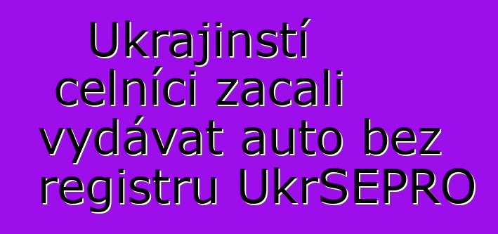 Ukrajinští celníci začali vydávat auto bez registru UkrSEPRO