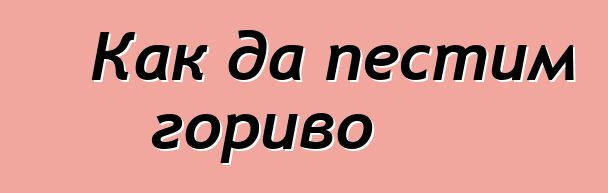 Как да пестим гориво