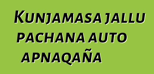 Kunjamasa jallu pachana auto apnaqaña