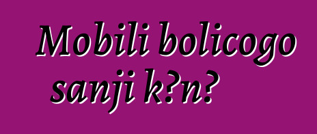 Mobili bolicogo sanji kɔnɔ