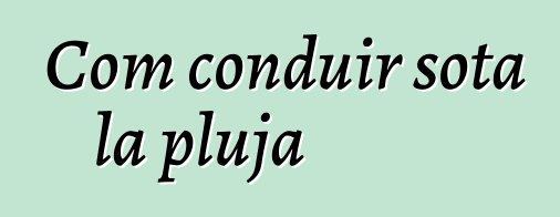 Com conduir sota la pluja