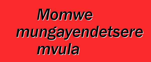 Momwe mungayendetsere mvula