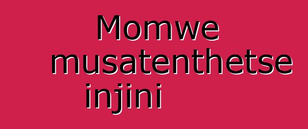 Momwe musatenthetse injini