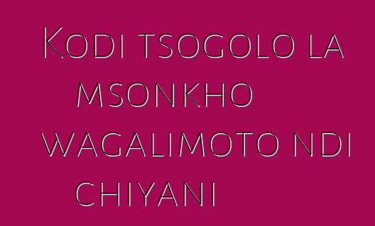 Kodi tsogolo la msonkho wagalimoto ndi chiyani