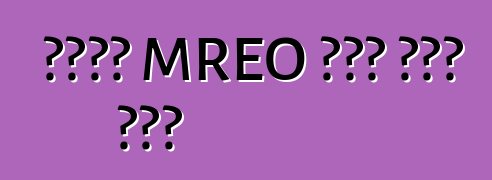 የኪየቭ MREO የስራ መርሃ ግብር