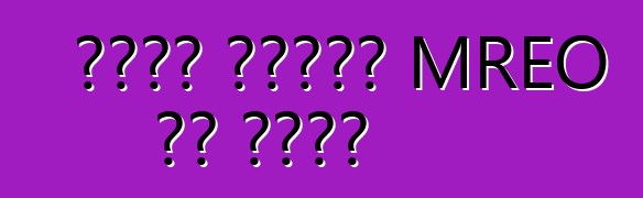 جدول أعمال MREO في كييف