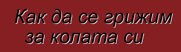 Как да се грижим за колата си