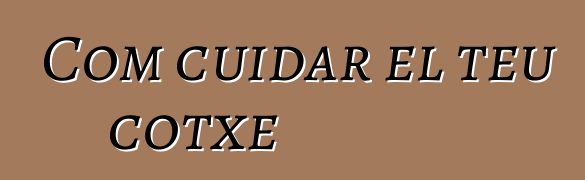 Com cuidar el teu cotxe