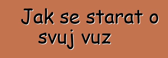 Jak se starat o svůj vůz