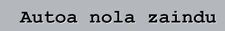 Autoa nola zaindu