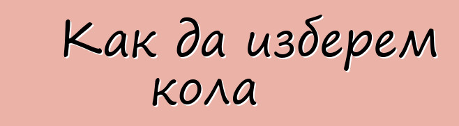 Как да изберем кола