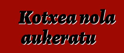 Kotxea nola aukeratu