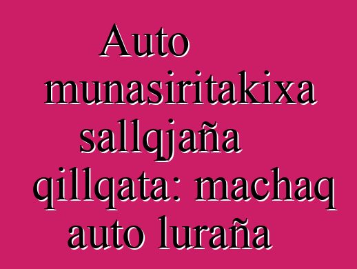 Auto munasiritakixa sallqjaña qillqata: machaq auto luraña