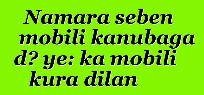 Namara sɛbɛn mobili kanubaga dɔ ye: ka mobili kura dilan
