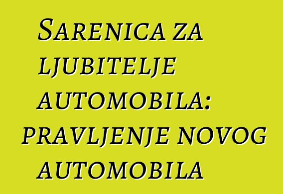 Šarenica za ljubitelje automobila: pravljenje novog automobila