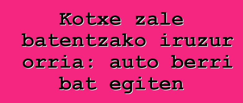 Kotxe zale batentzako iruzur orria: auto berri bat egiten