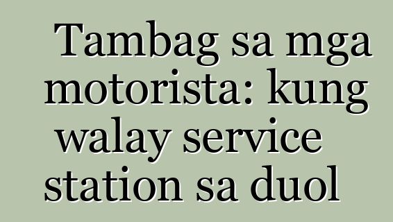 Tambag sa mga motorista: kung walay service station sa duol