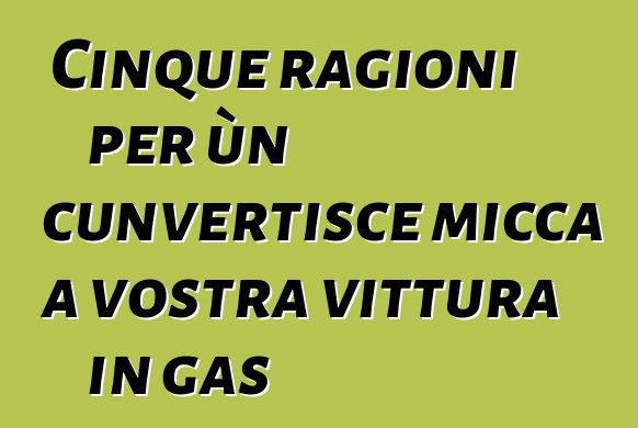 Cinque ragioni per ùn cunvertisce micca a vostra vittura in gas