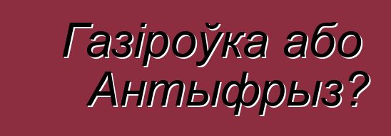 Газіроўка або Антыфрыз?