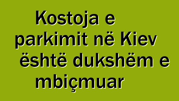 Kostoja e parkimit në Kiev është dukshëm e mbiçmuar
