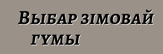 Выбар зімовай гумы