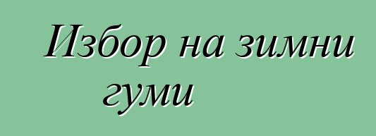 Избор на зимни гуми