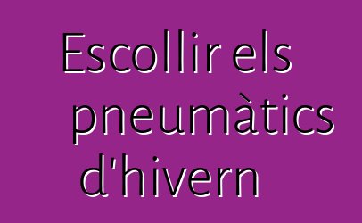 Escollir els pneumàtics d'hivern