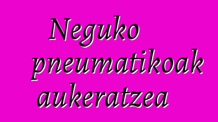 Neguko pneumatikoak aukeratzea
