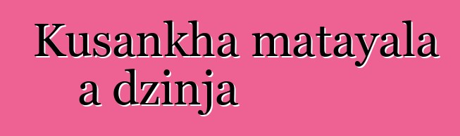 Kusankha matayala a dzinja