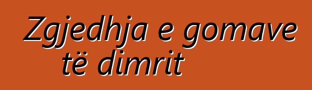 Zgjedhja e gomave të dimrit