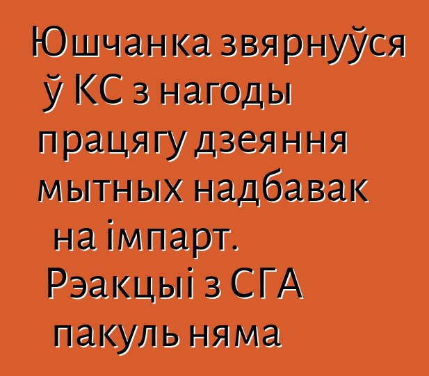 Юшчанка звярнуўся ў КС з нагоды працягу дзеяння мытных надбавак на імпарт. Рэакцыі з СГА пакуль няма